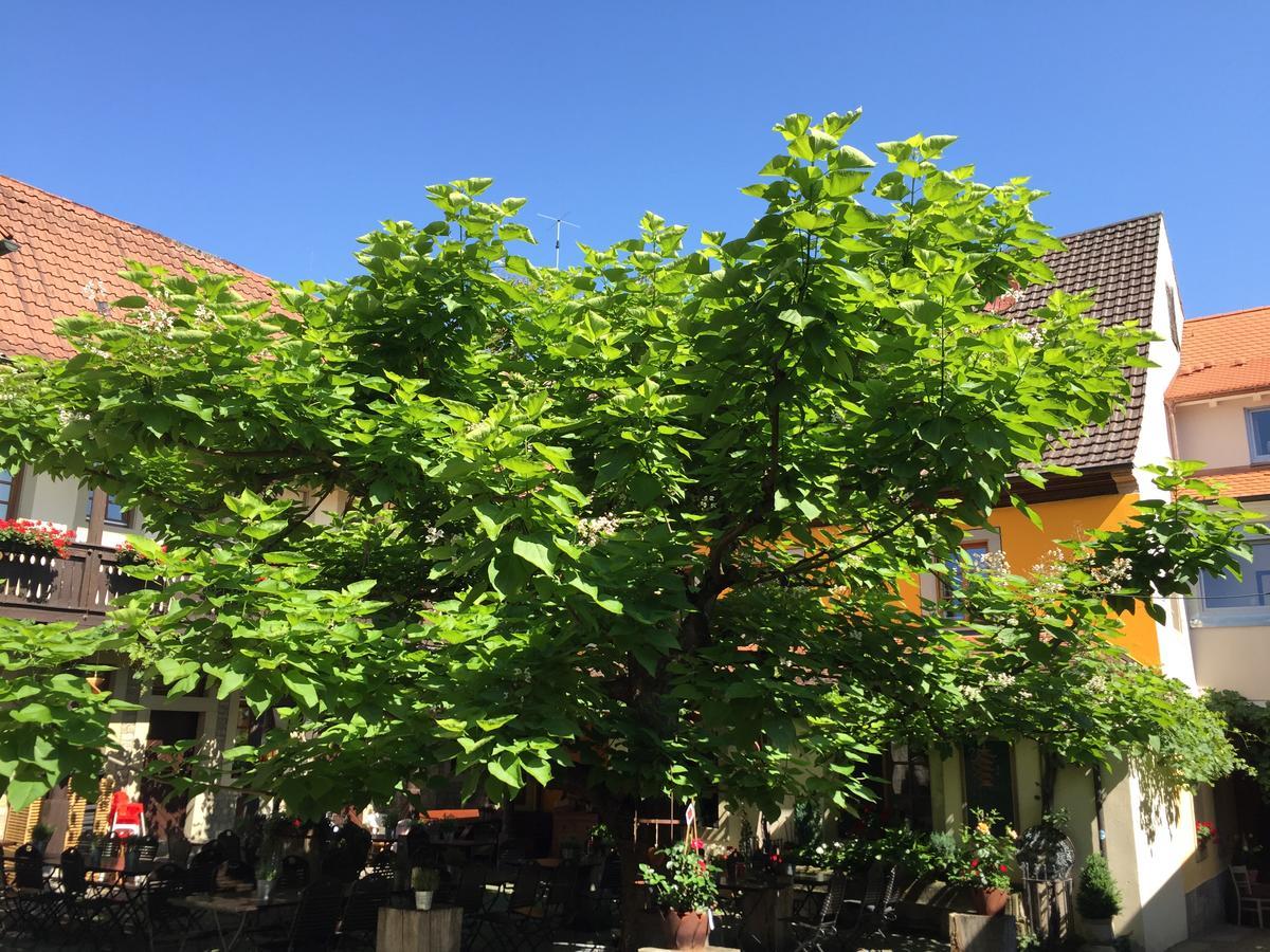 Zum Storch 3* Prichsenstadt